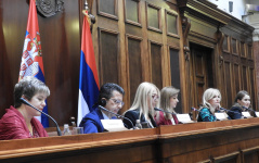 26 November 2019 Public hearing on “Prevention of violence against women”